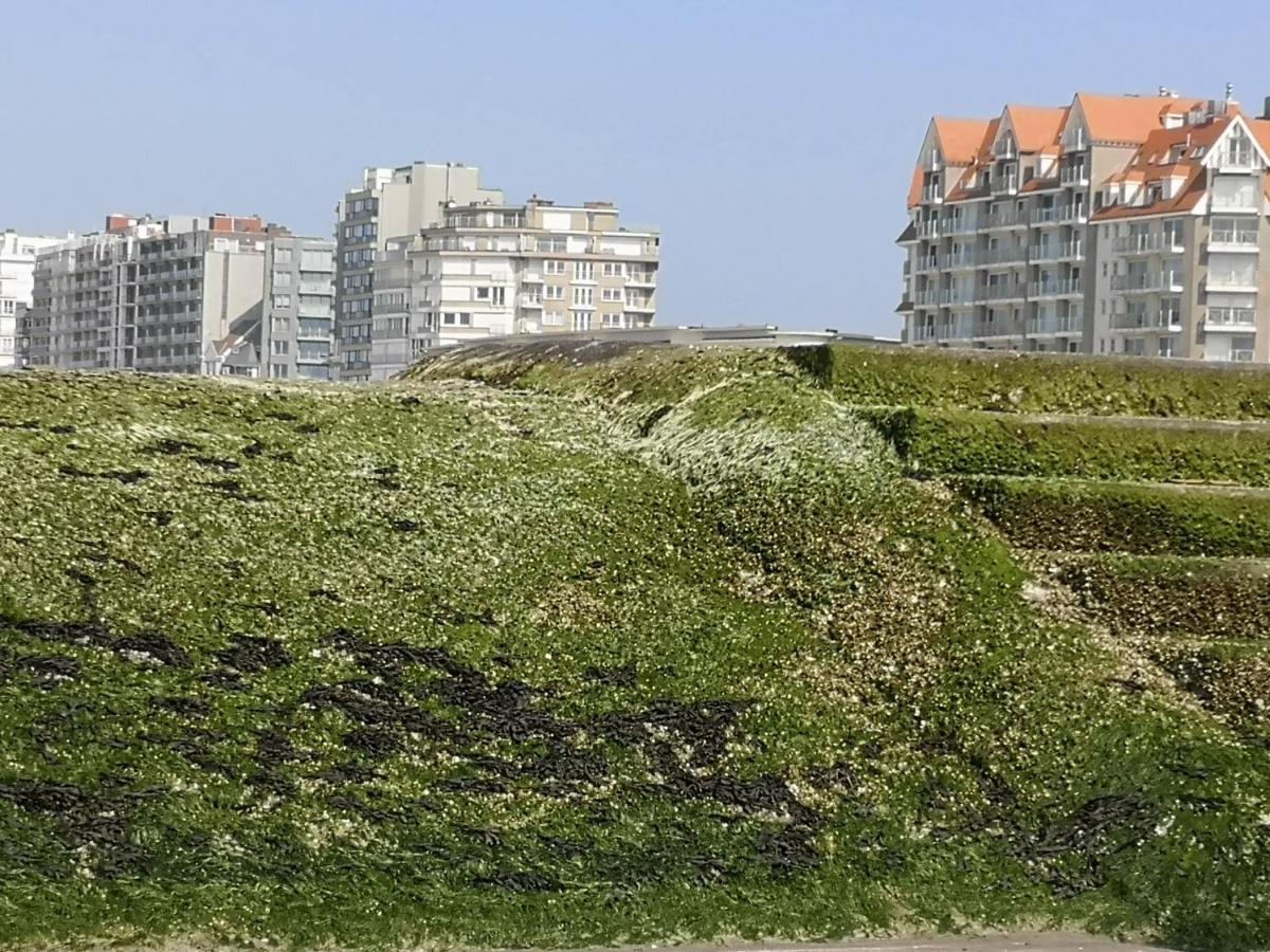 Westeinders Sea View 米德尔克尔克 外观 照片