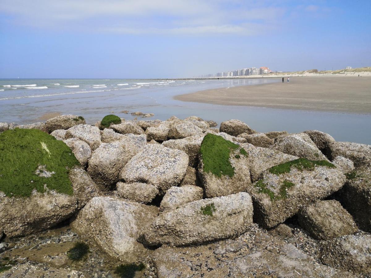 Westeinders Sea View 米德尔克尔克 外观 照片